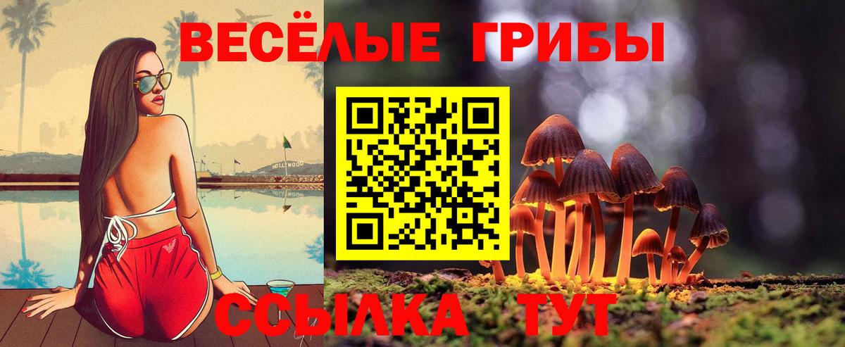 Псилоцибиновые грибы ЛСД Алатырь
